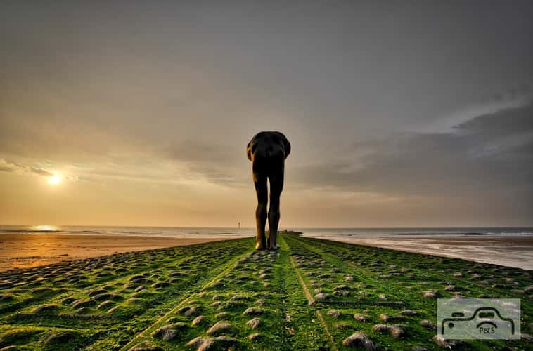 Knokke beach