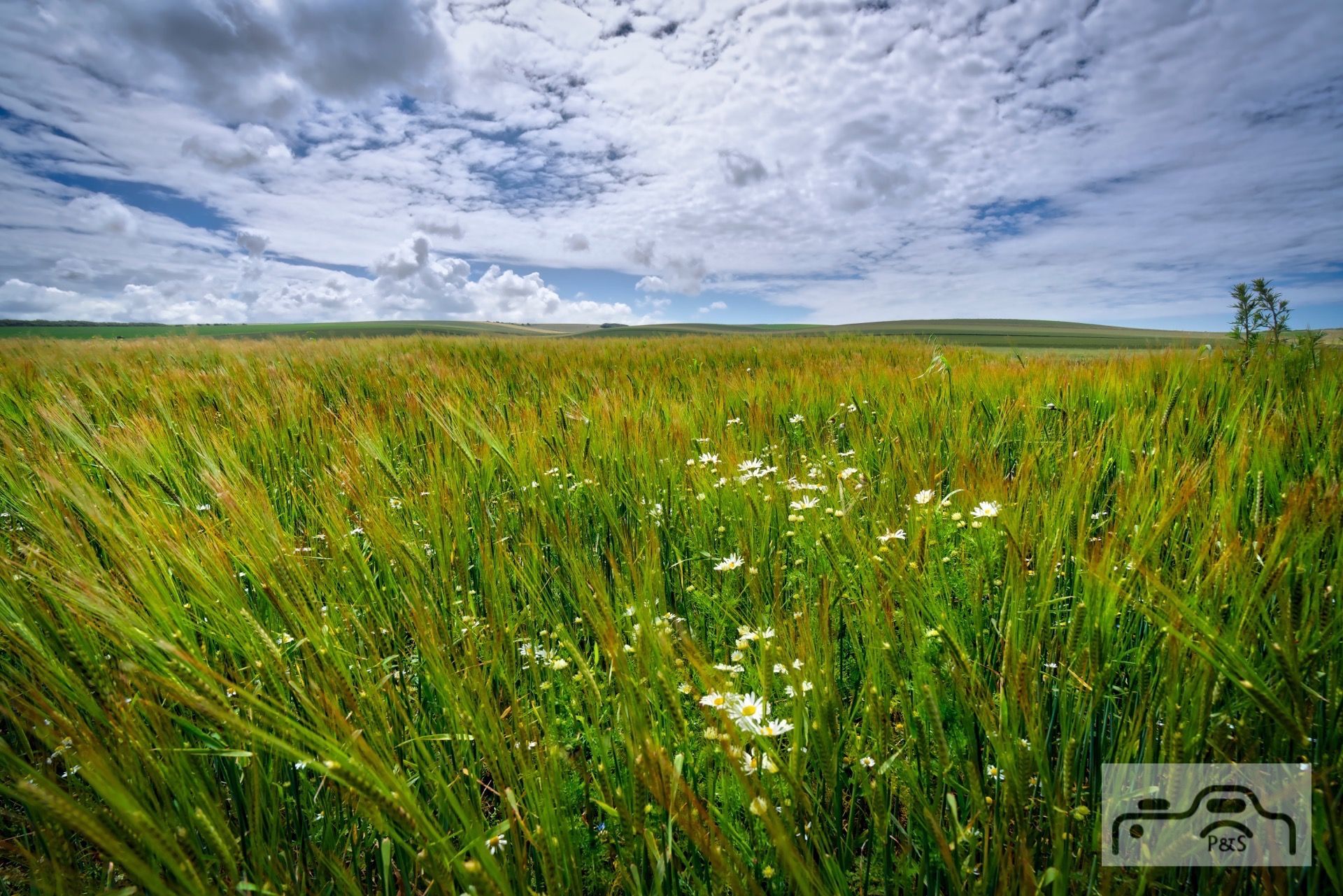 Le Cap Blanc Nez, France