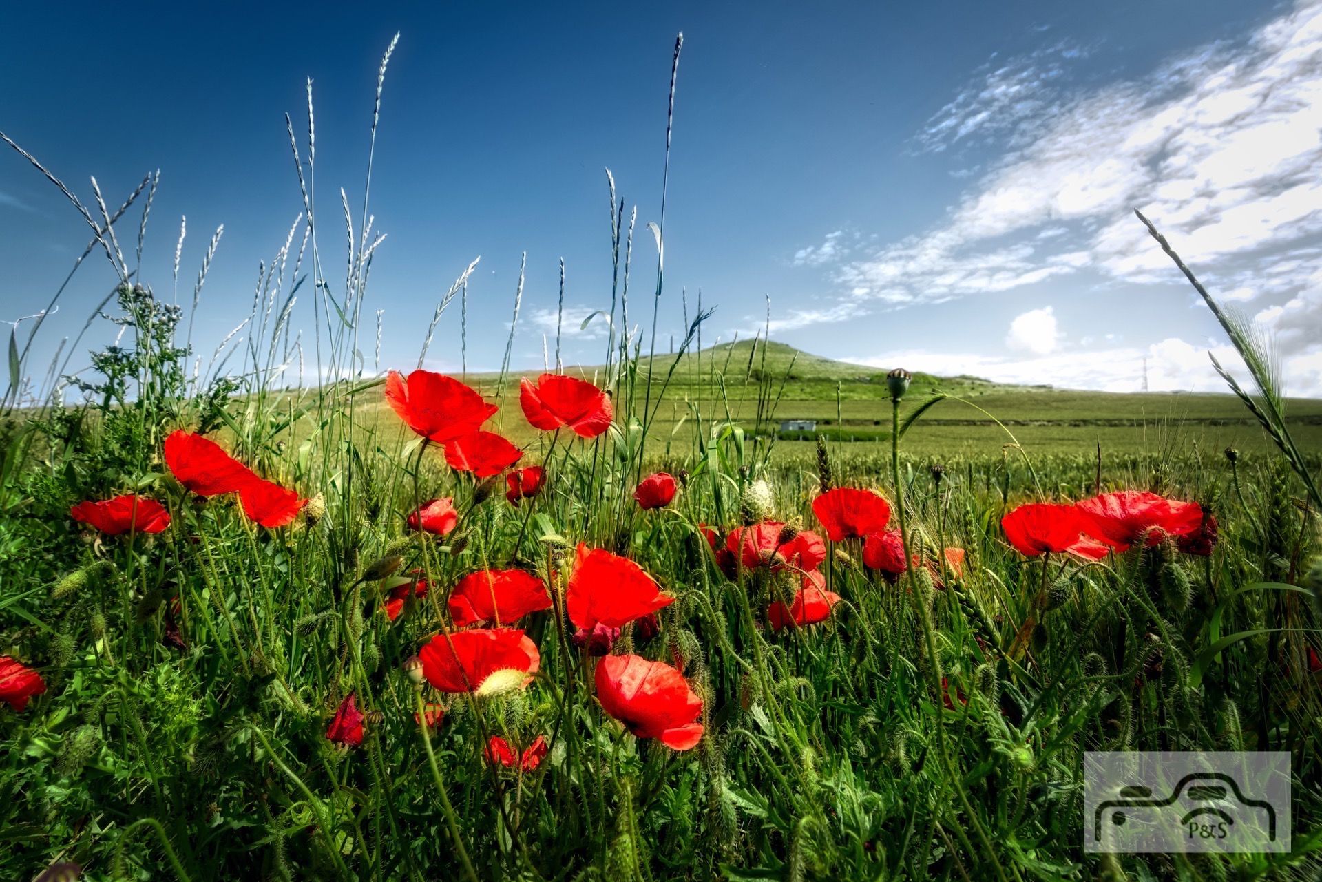 Le Cap Blanc Nez, France