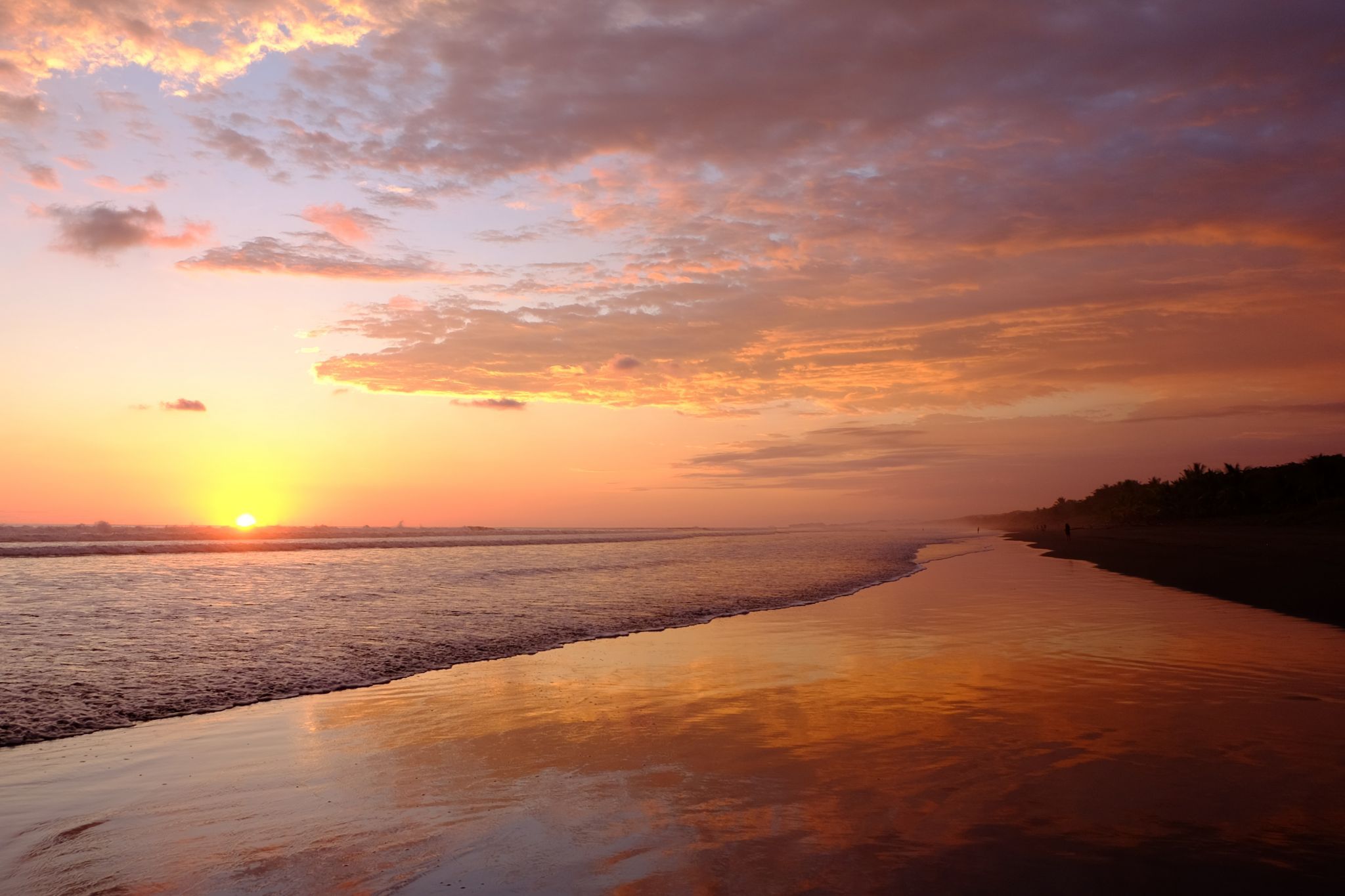 Matapalo, Costa Rica
