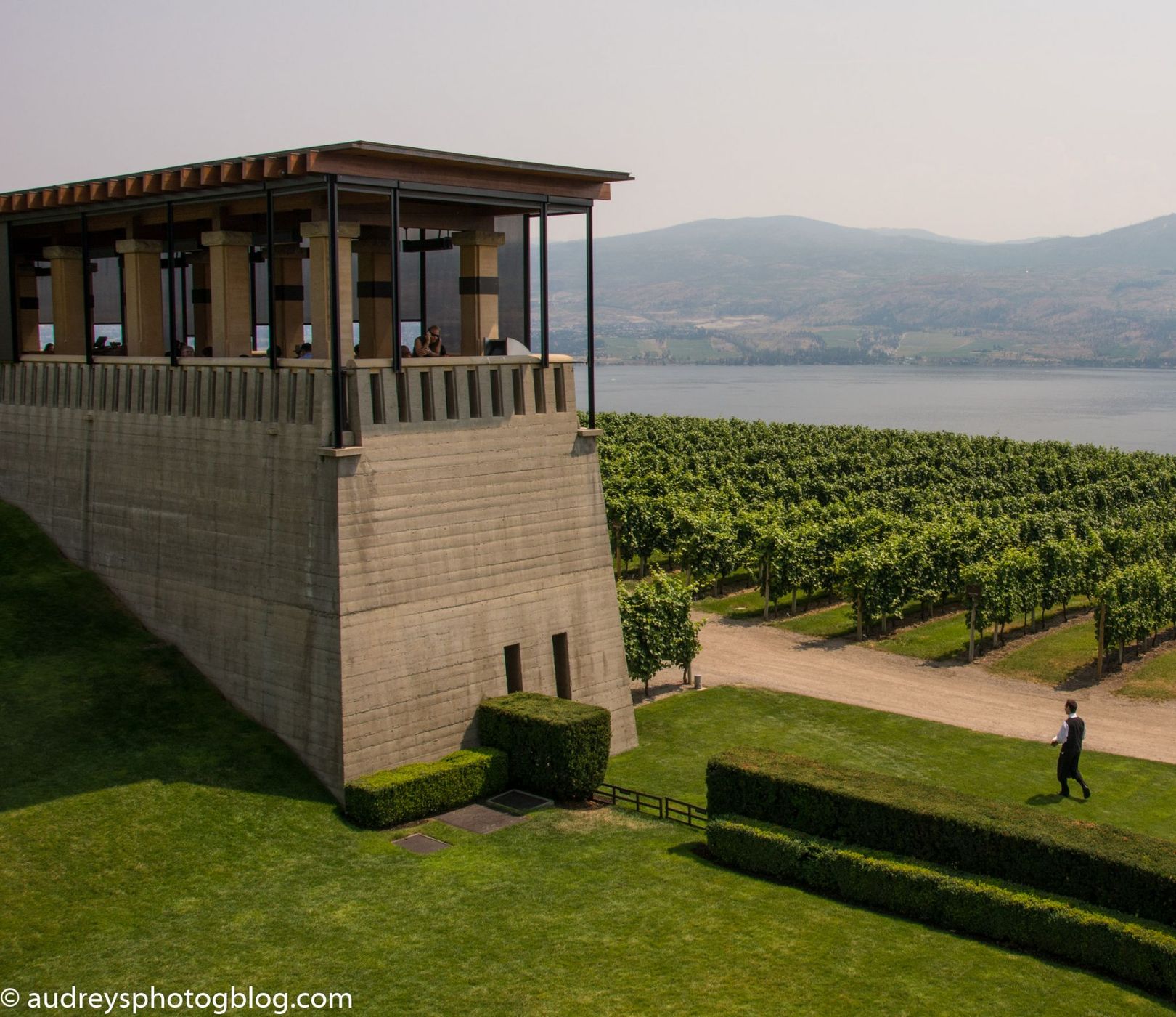Mission Hill Winery, Canada