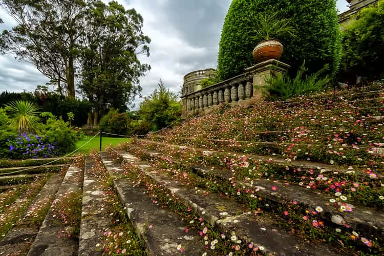 Mount Stewart