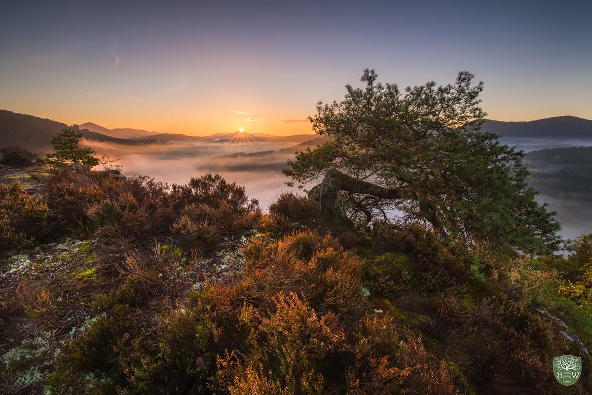 Nesselbergfelsen, Germany
