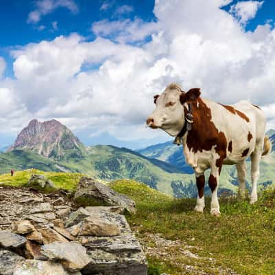 Neukirchen am Grossvenediger - Wildkogel, Austria