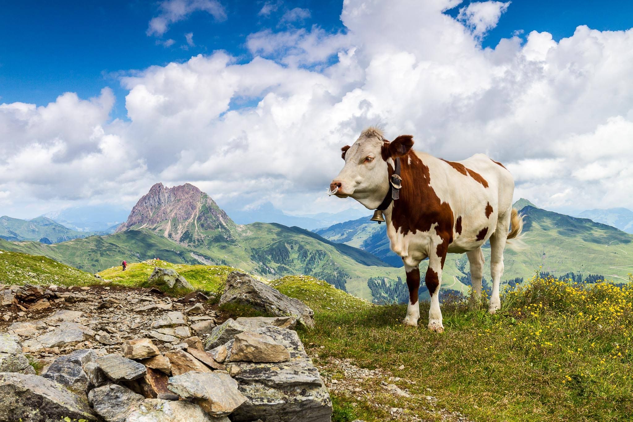 Neukirchen am Grossvenediger - Wildkogel, Austria