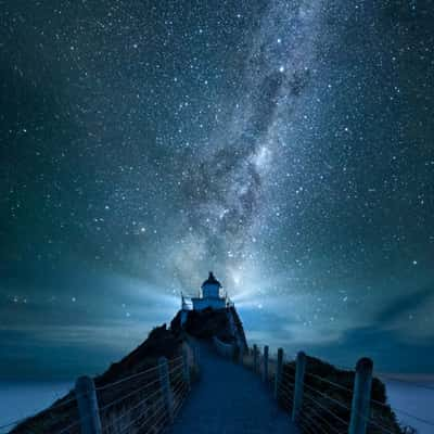 Nugget Point, New Zealand