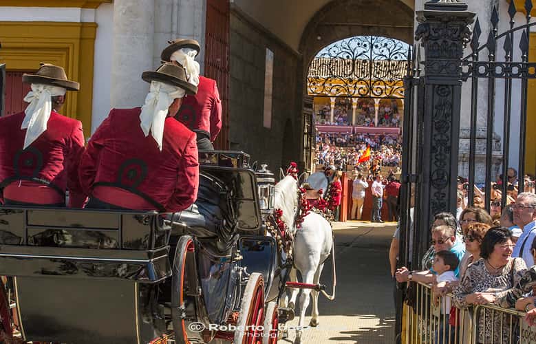 Plaza de toros Maestranza de Seville