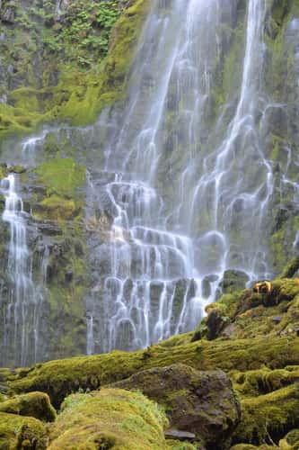 Proxy Falls