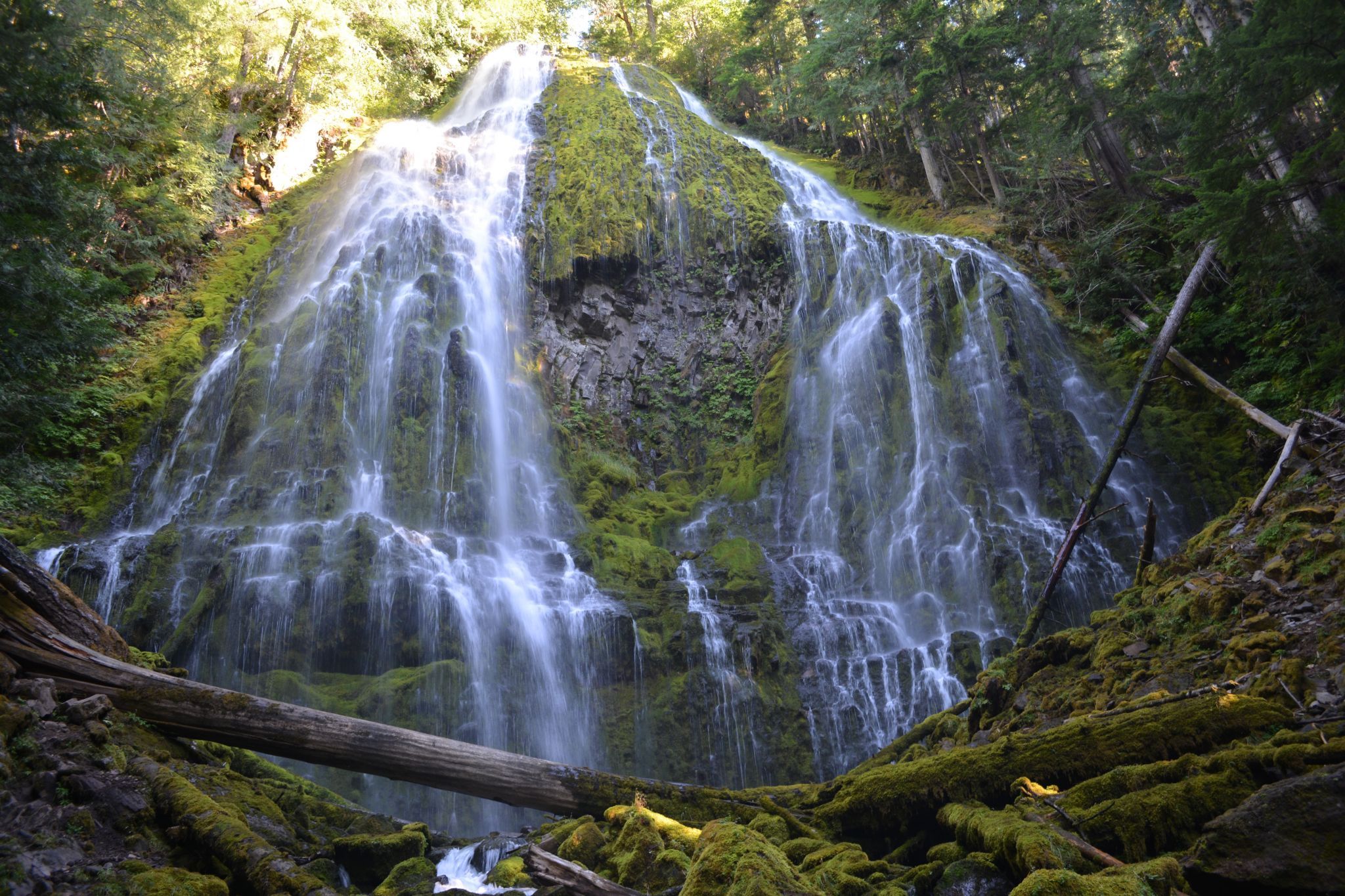 Proxy Falls, USA