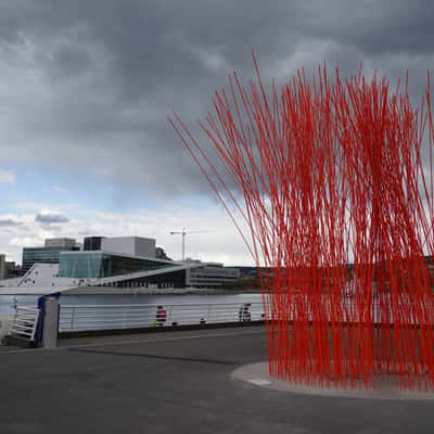 Red Bamboo, Norway