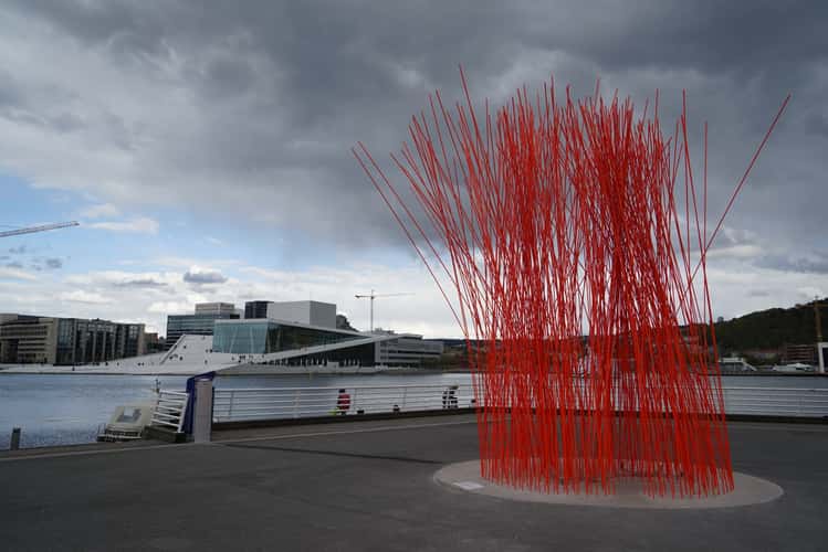 Red Bamboo