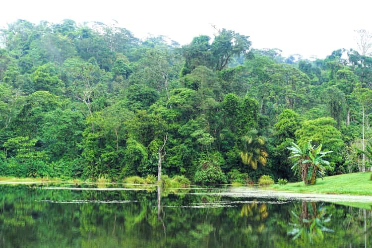 Rio San Carlos