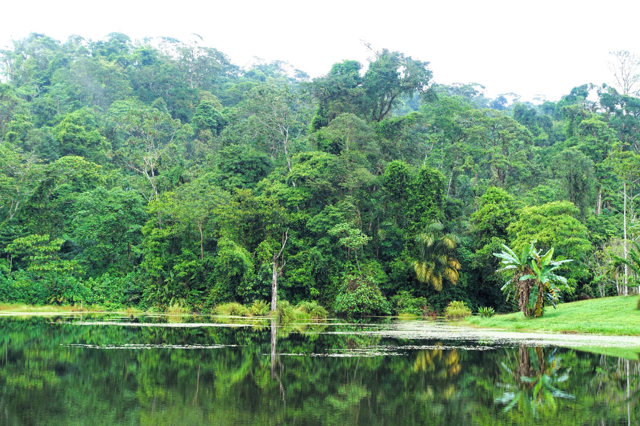 Rio San Carlos, Costa Rica