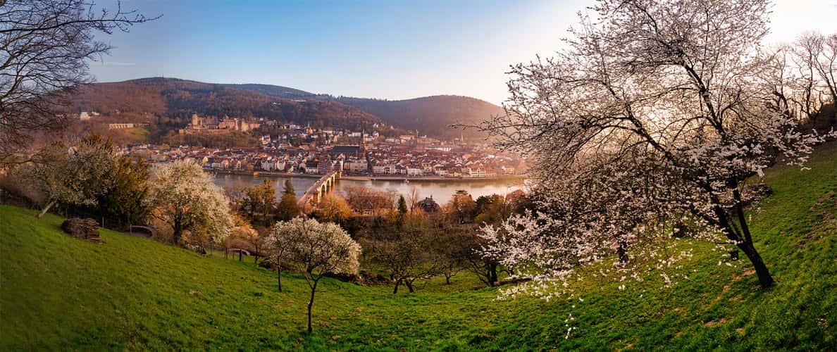 Schlangenweg Heidelberg