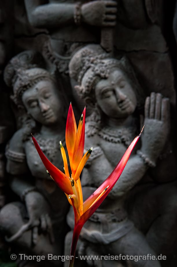 Terracotta Garden, Thailand