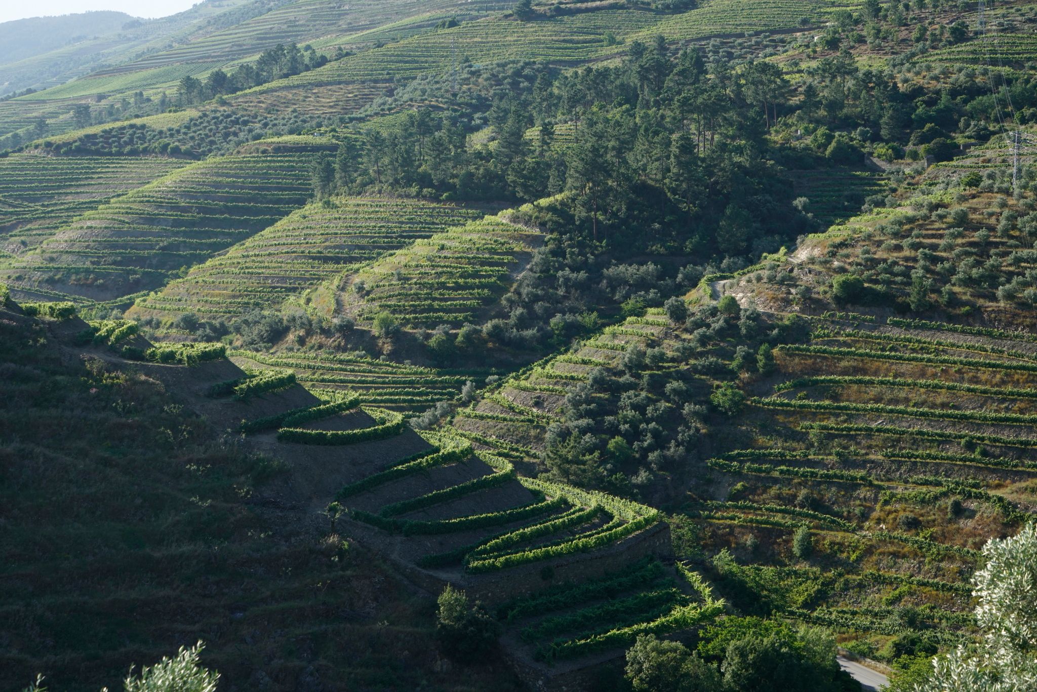 Upper Douro Valley, Portugal
