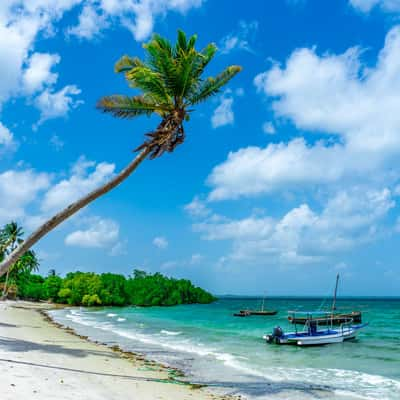 Utende Beach Views, Tanzania