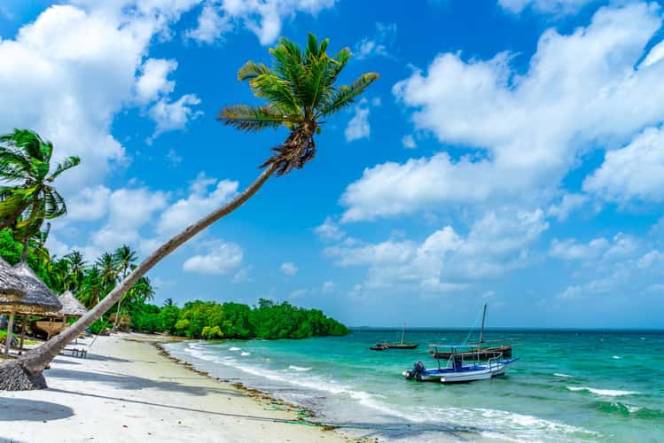 Utende Beach Views