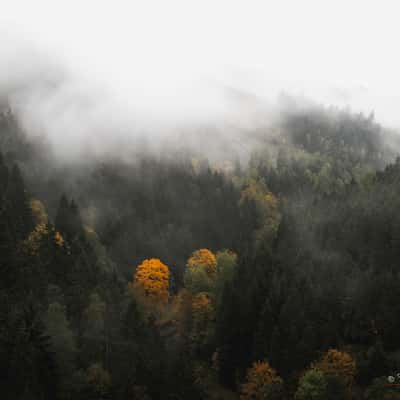 View from the Okertalsperre, Germany