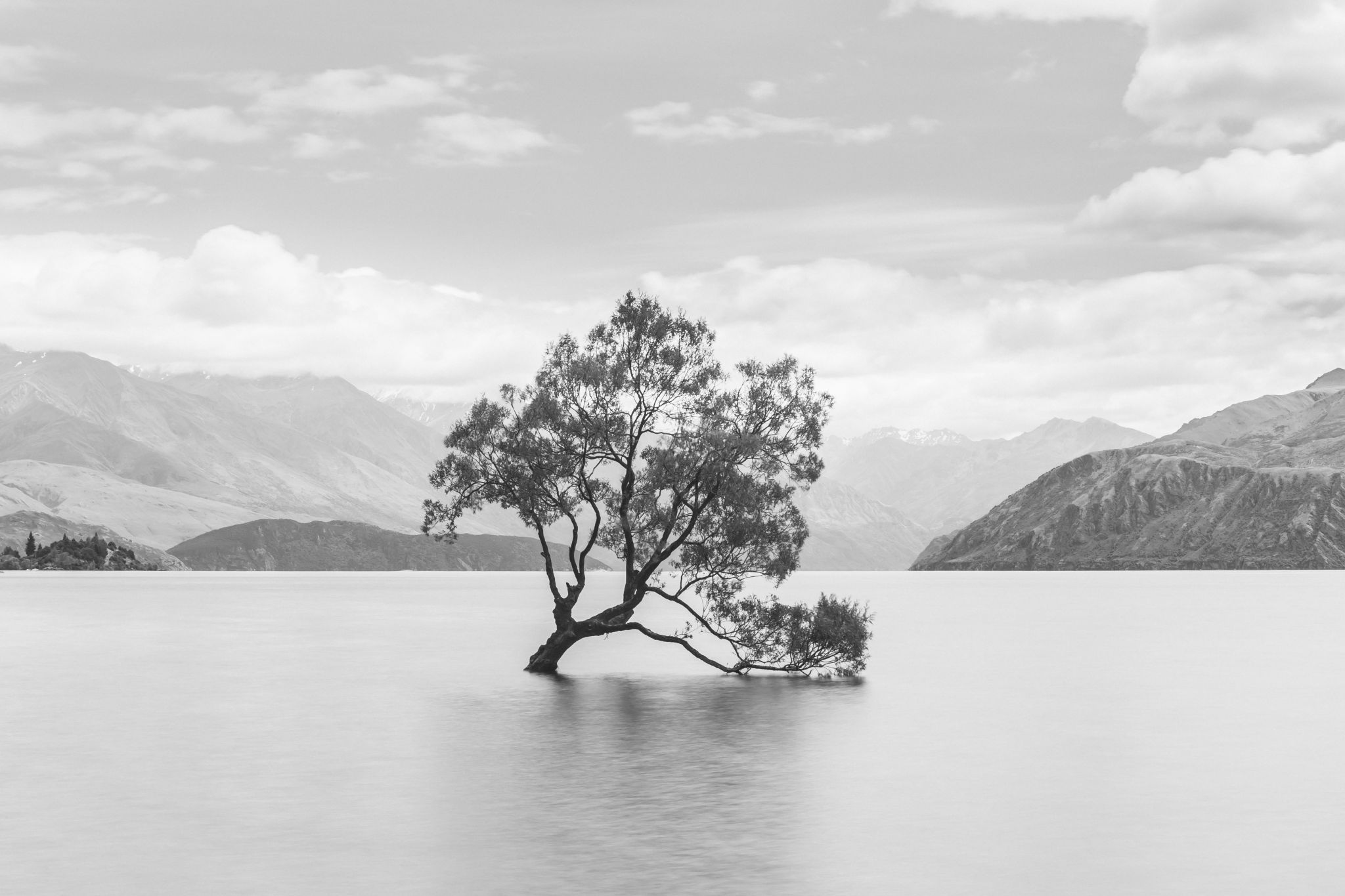 Lake Wanaka - The lonely Tree, New Zealand