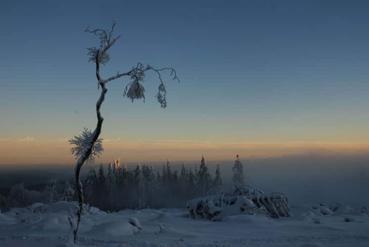 Winterwonderland