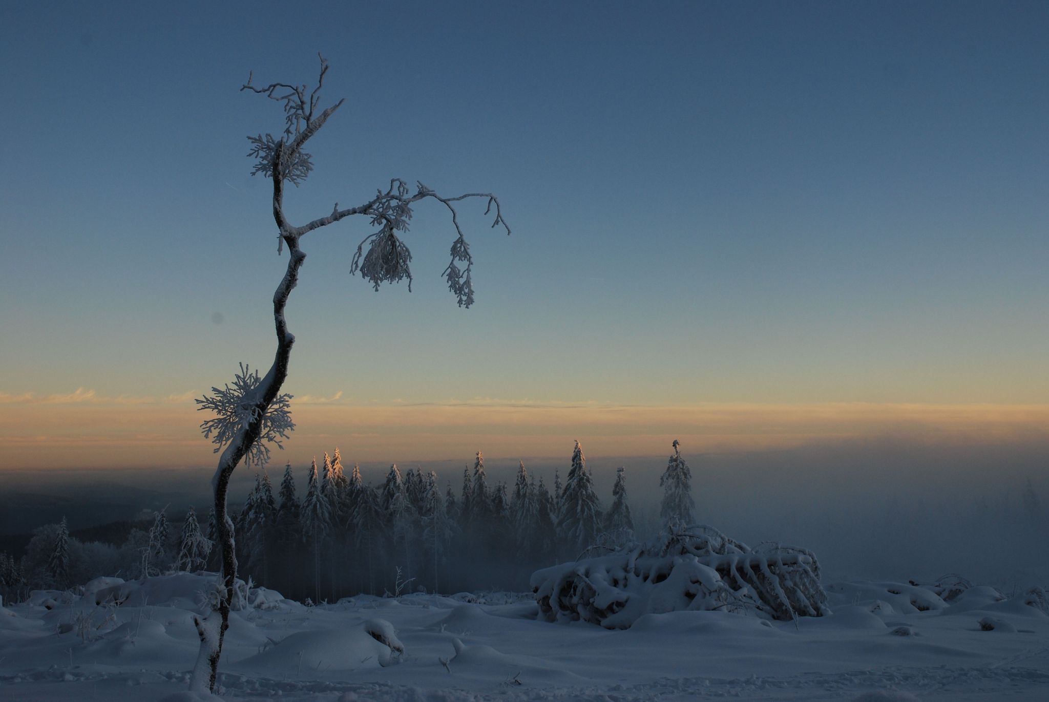 Winterwonderland, Germany