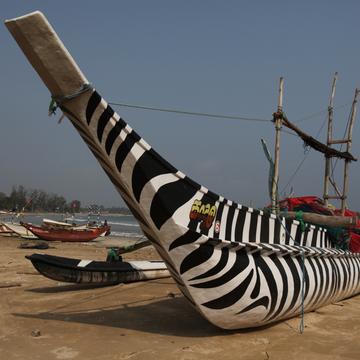 Zebra, Sri Lanka