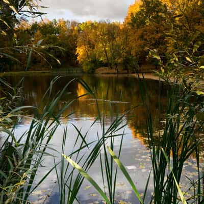 Autumn colors on the lake of Markučių parkas, Lithuania