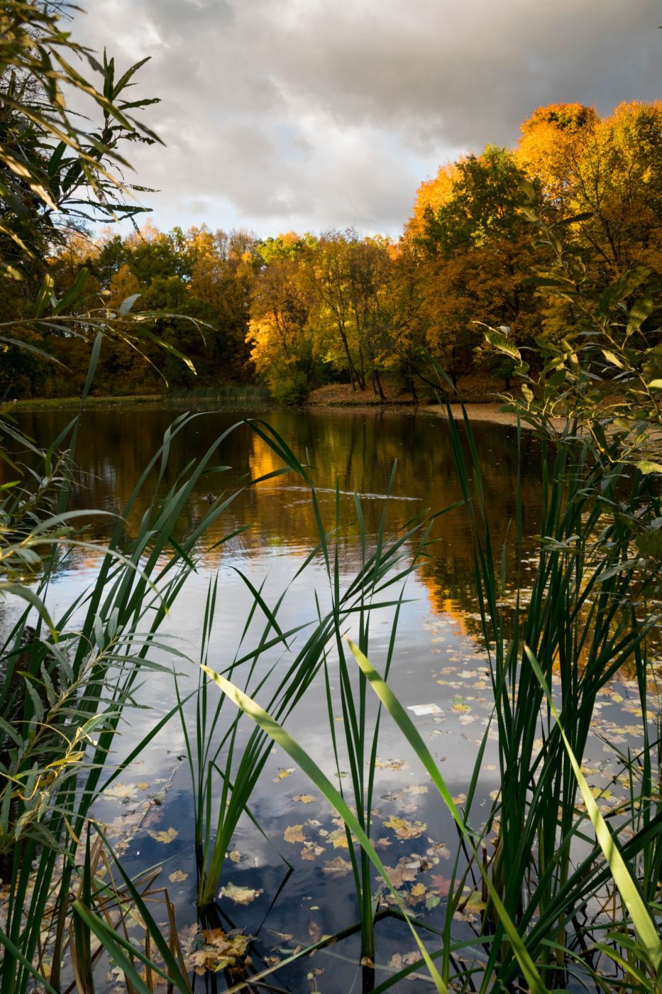 Autumn colors on the lake of Markučių parkas, Lithuania
