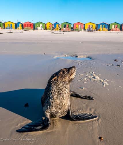 Beach huts, Muizenberg