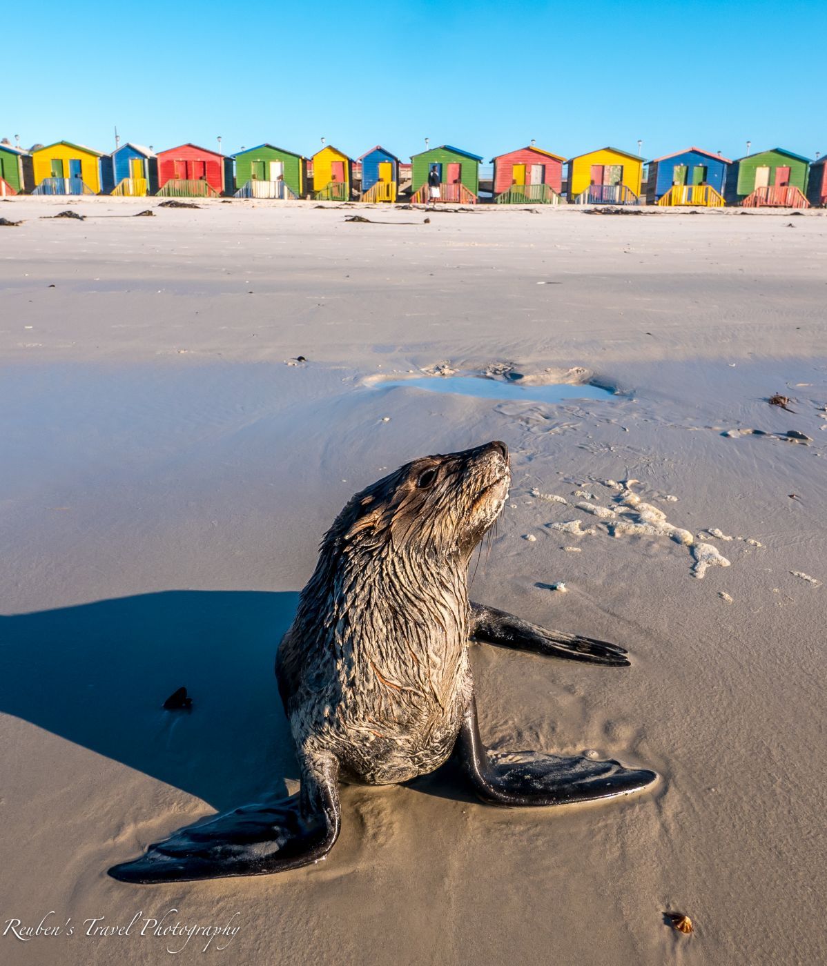 Beach huts, Muizenberg, South Africa