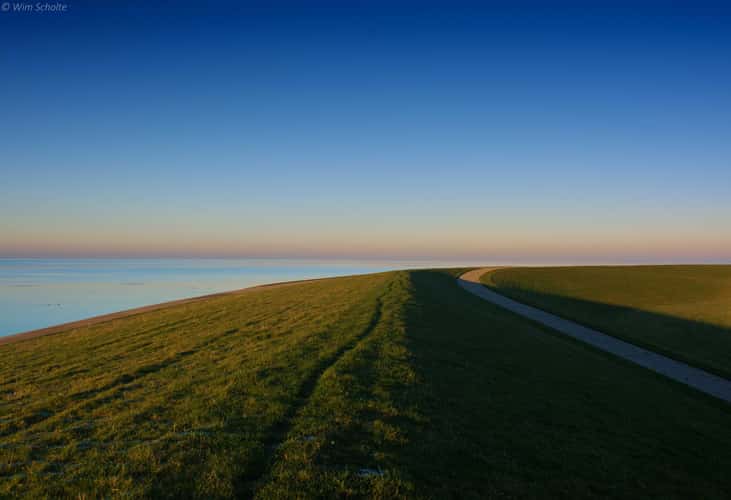Birds above the Waddensea
