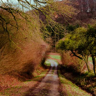 Countryside., Luxembourg