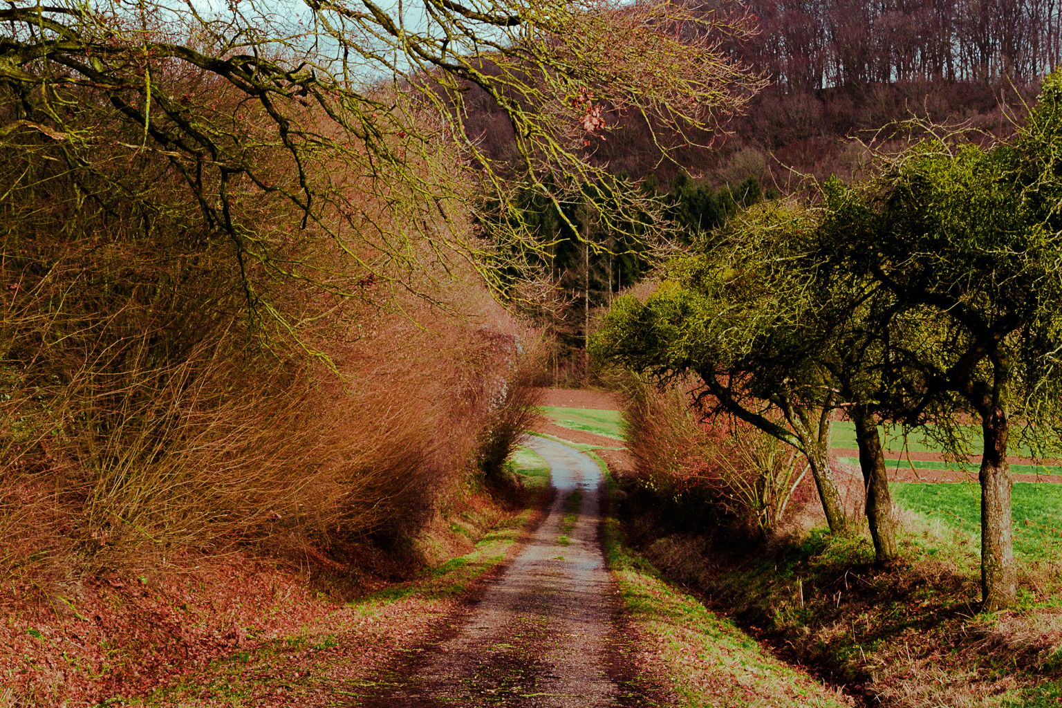 Countryside., Luxembourg