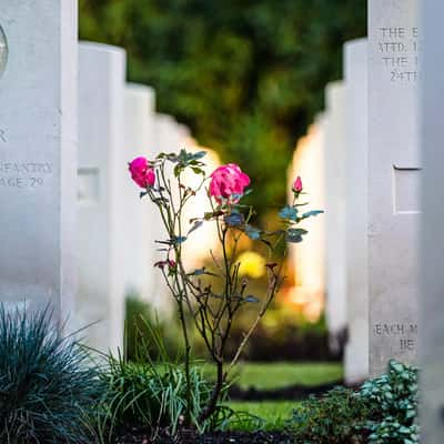 Englischer Soldatenfriedhof - Friedhof Ohlsdorf, Germany