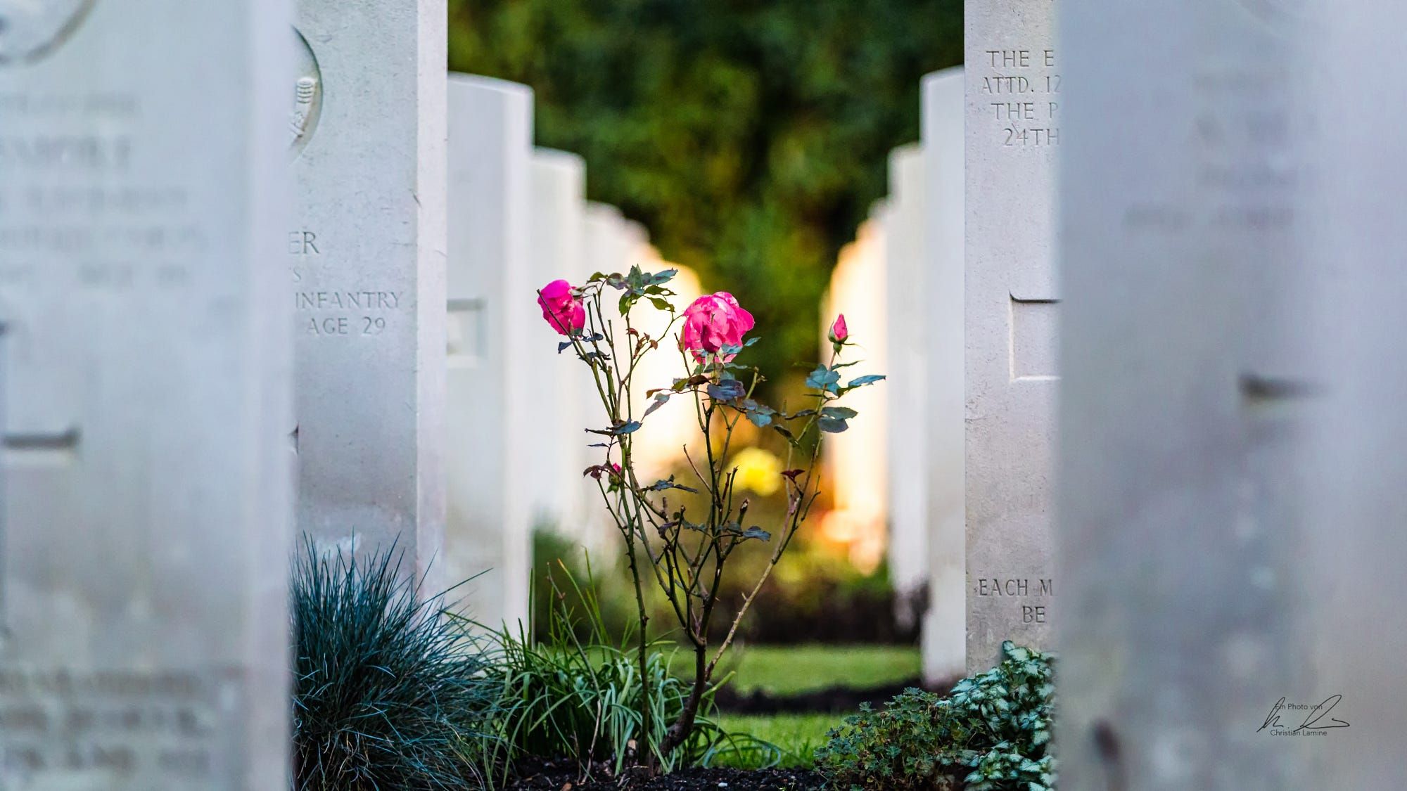 Englischer Soldatenfriedhof - Friedhof Ohlsdorf, Germany