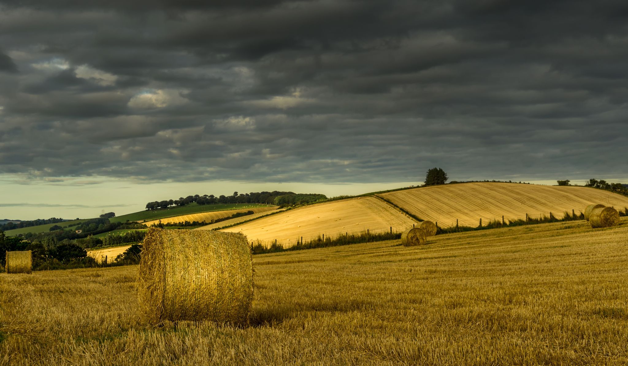 Field, United Kingdom