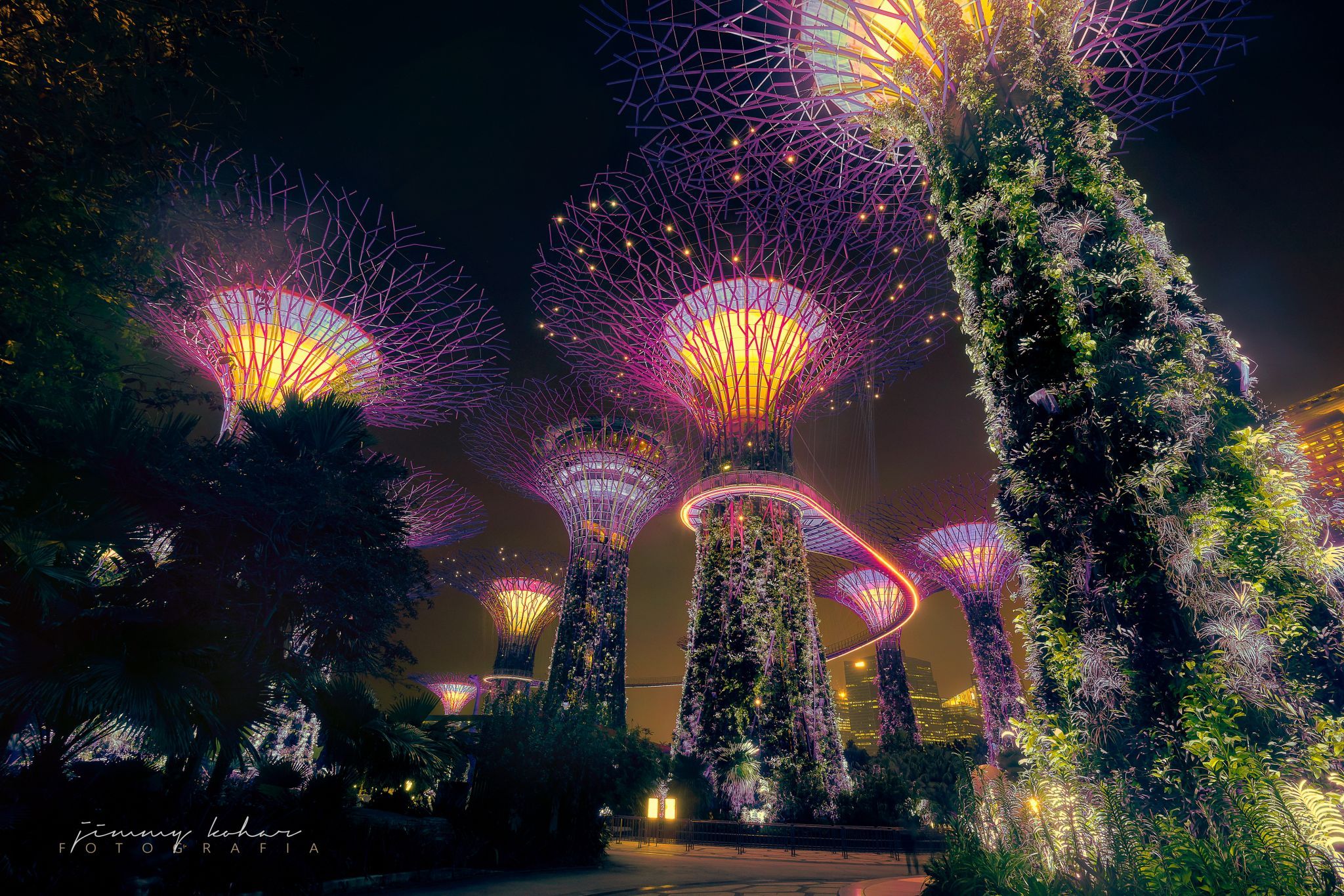 Gardens by the Bay SuperTree forest, Singapore, Singapore