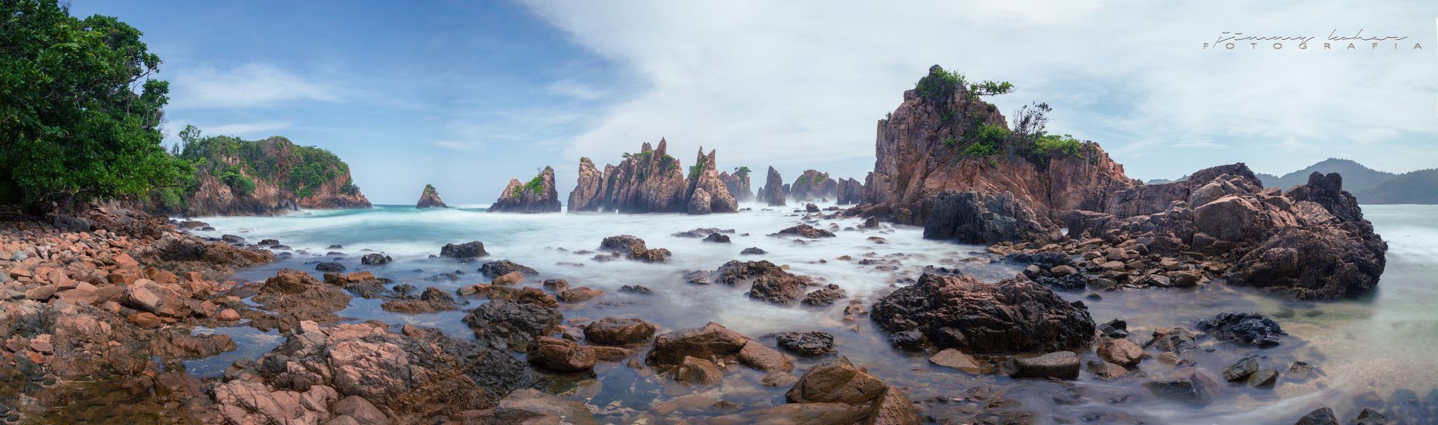 Gigi Hiu, Indonesia
