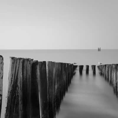 Groynes near Westkapelle, Netherlands