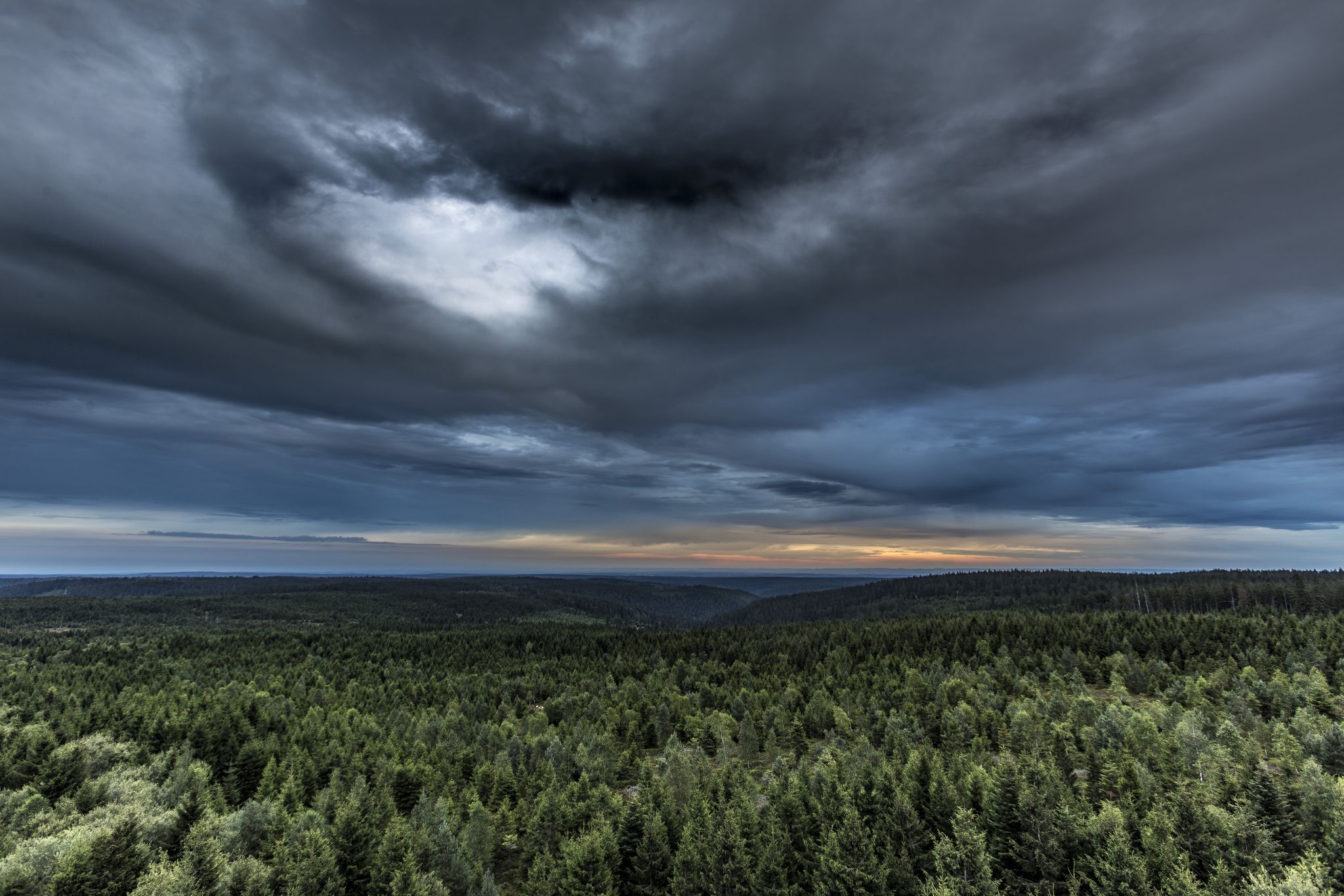 View from Hohloh Tower, Kaltenbronn, Germany