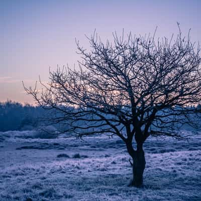 Fryslân, Katlikker Skar, Netherlands