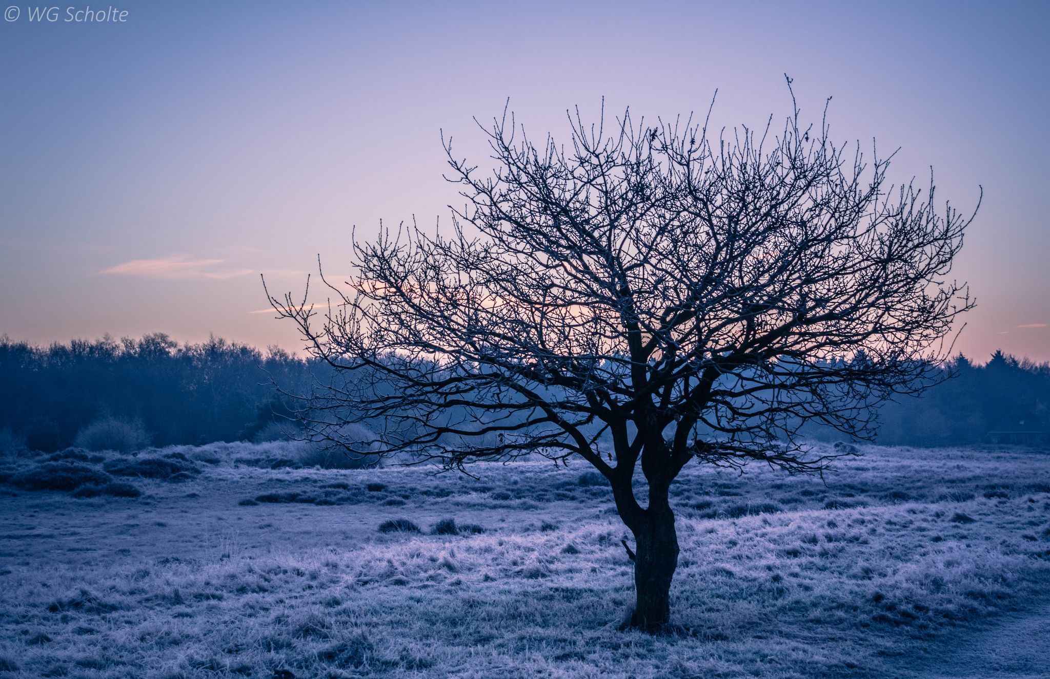 Fryslân, Katlikker Skar, Netherlands