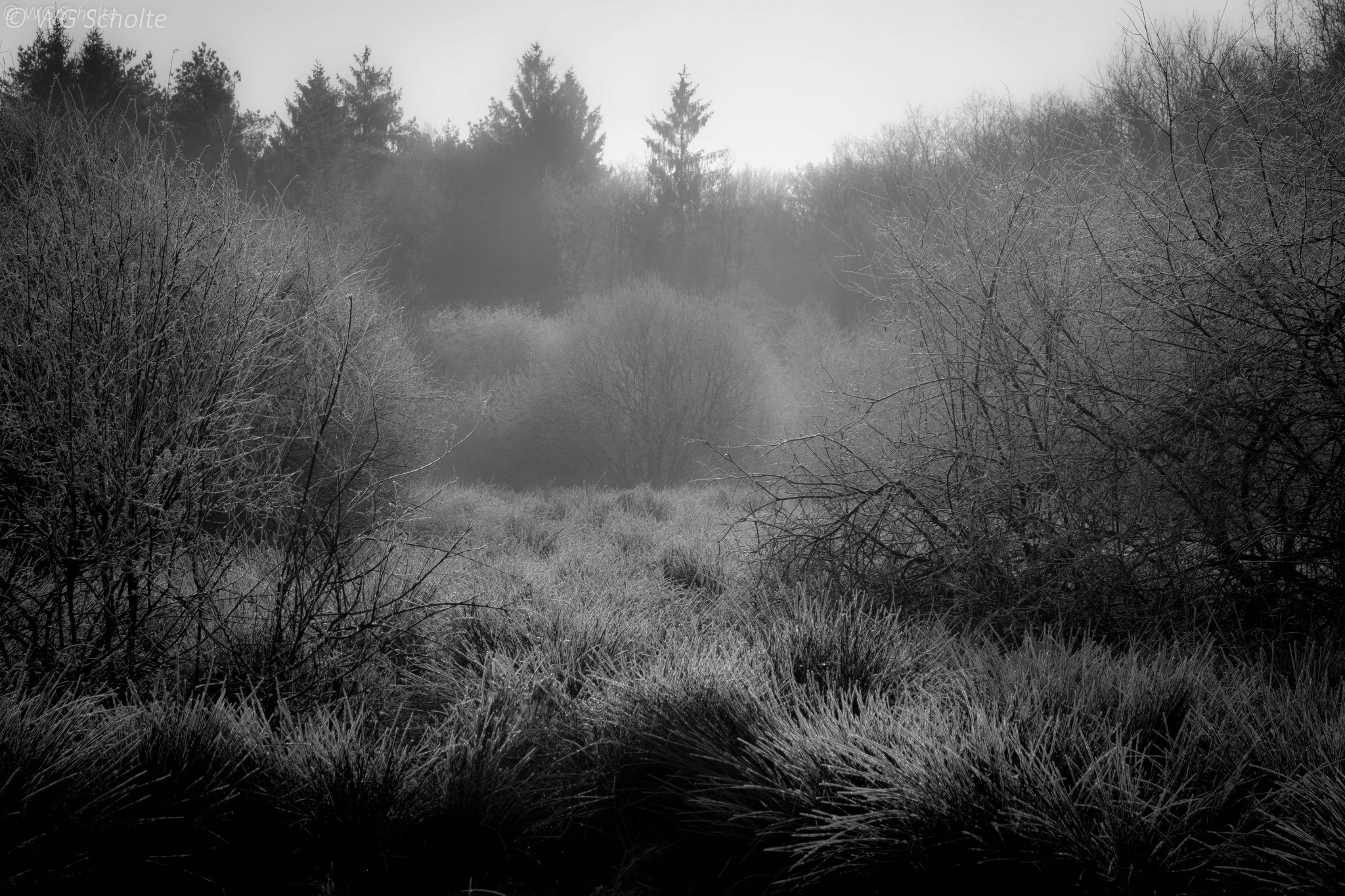 Fryslân, Katlikker Skar, Netherlands