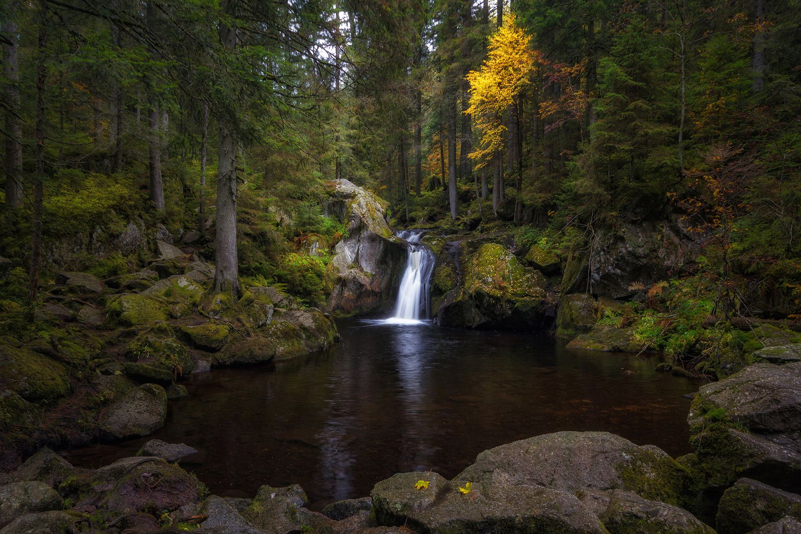 Krai Woog Gumpen, Black Forest, Germany