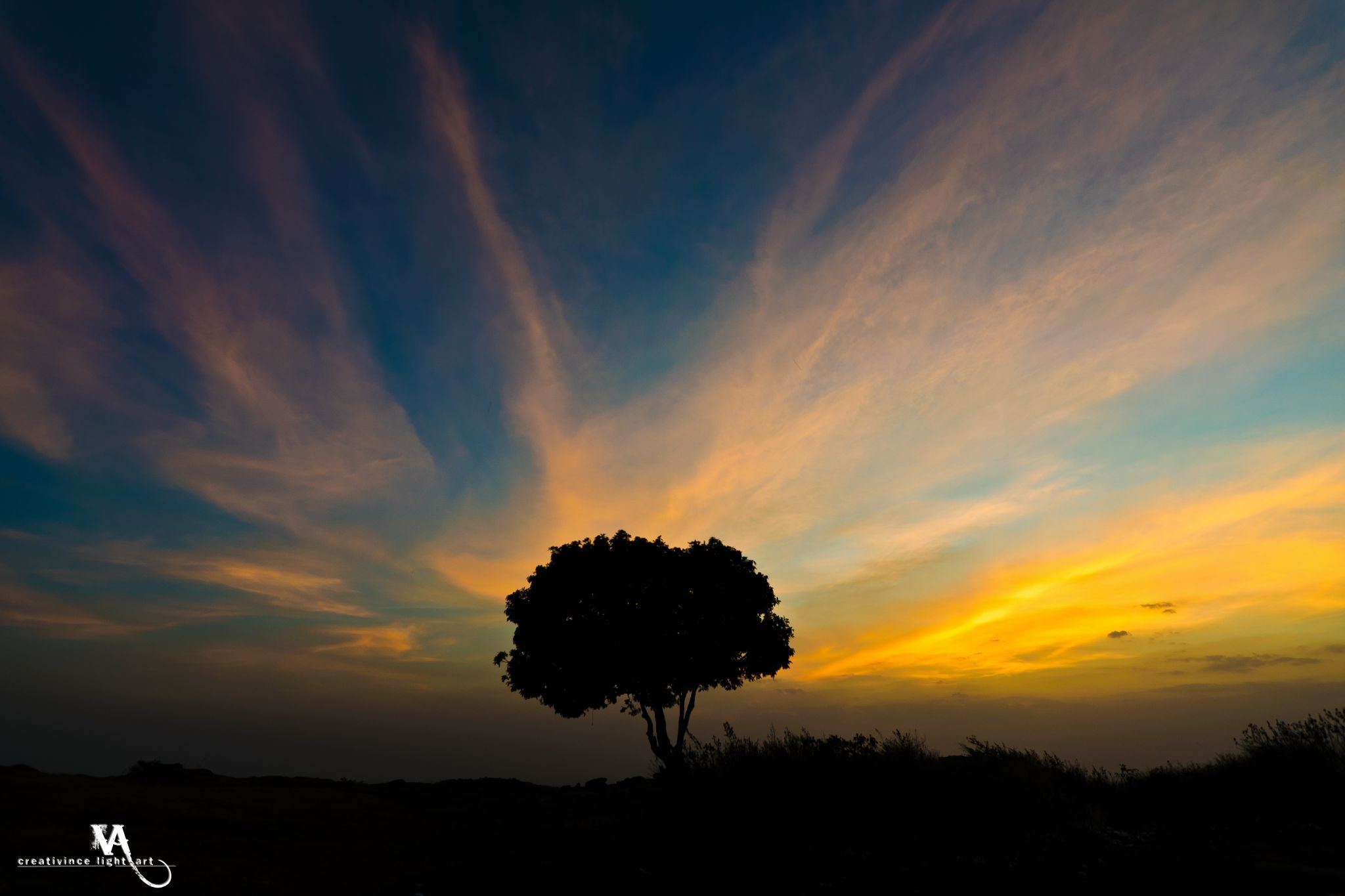 Lone Tree Silhouette, Nandi Hills, India