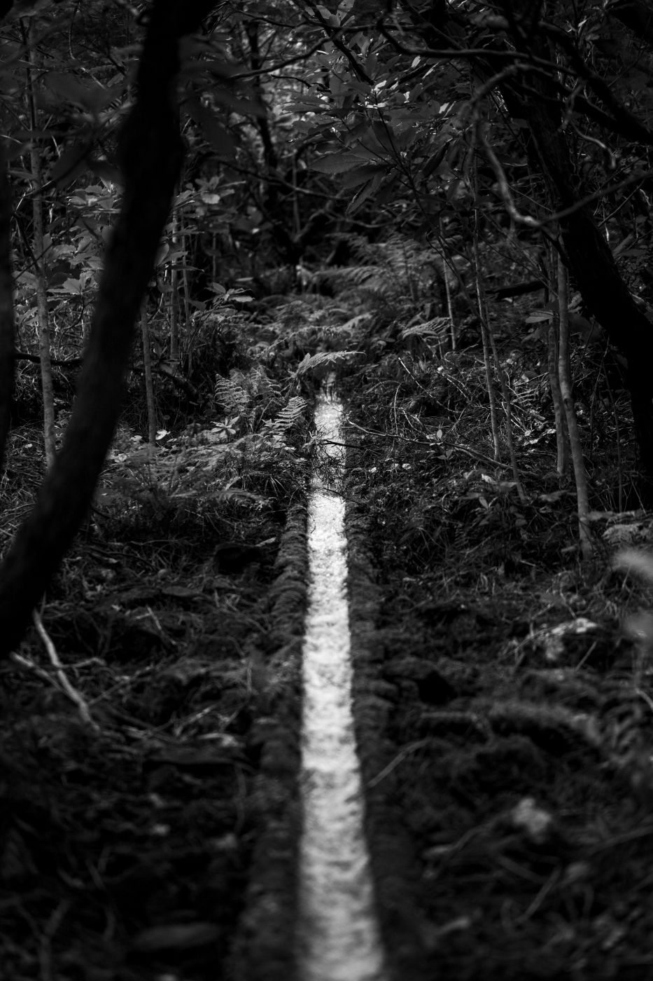 levada - Top Spots for this Photo Theme