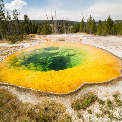 Morning Glory Pool, Yellowstone National Park, USA