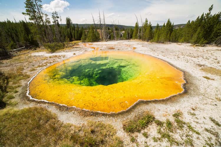 Morning Glory Pool, Yellowstone National Park