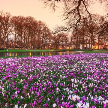 Oranjepark, Apeldoorn, Netherlands